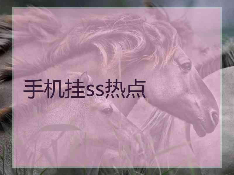 手机挂ss热点