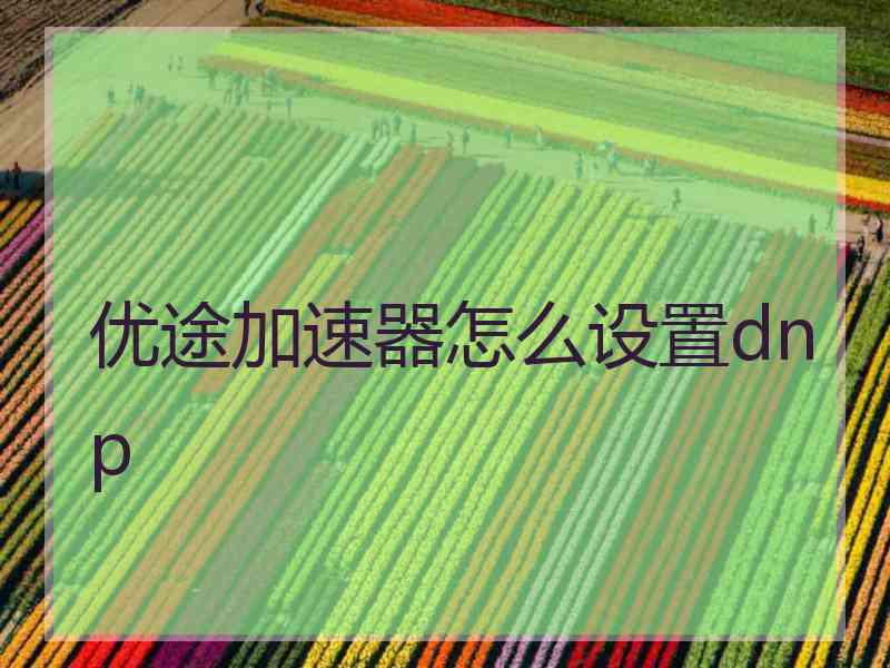 优途加速器怎么设置dnp