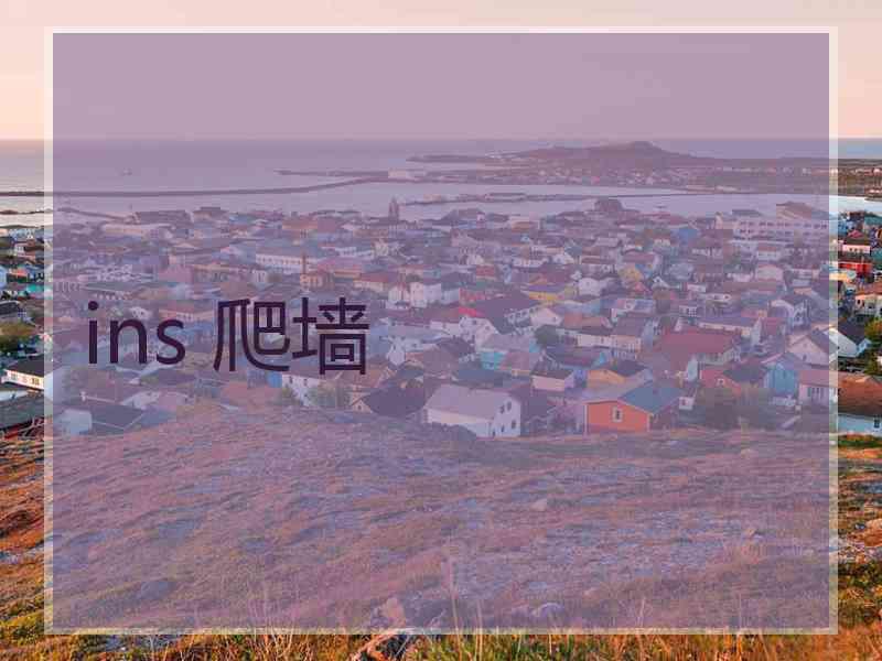 ins 爬墙