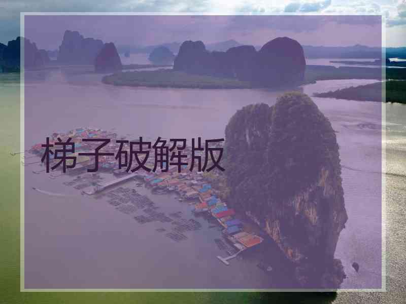 梯子破解版