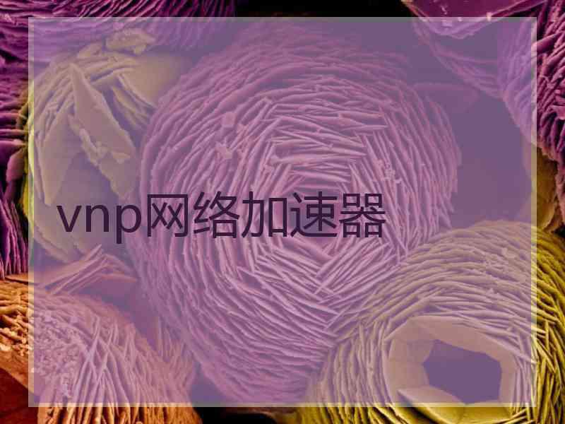 vnp网络加速器