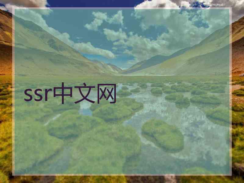 ssr中文网