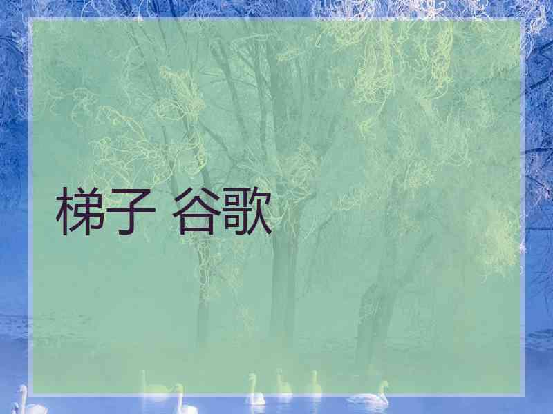 梯子 谷歌