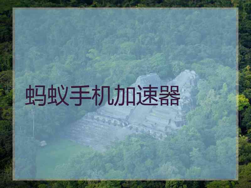 蚂蚁手机加速器