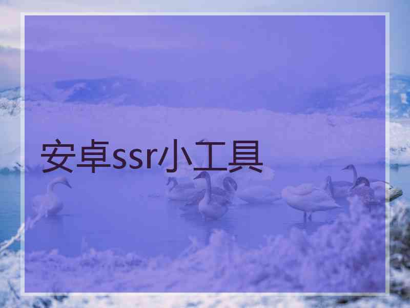 安卓ssr小工具