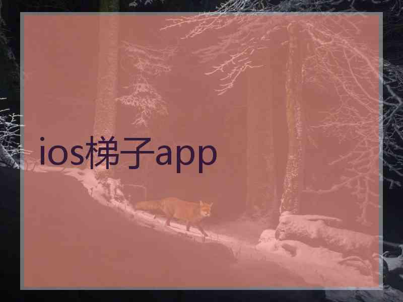 ios梯子app