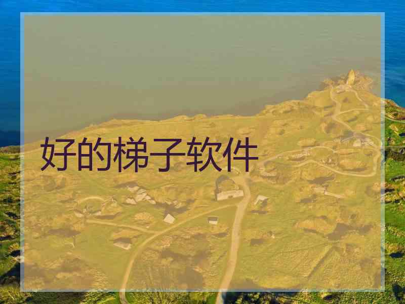 好的梯子软件