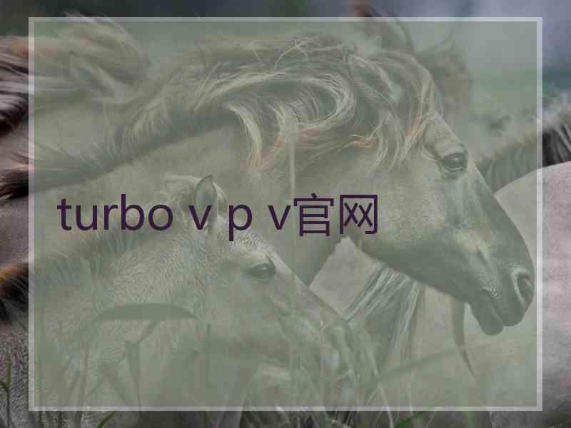 turbo v p v官网