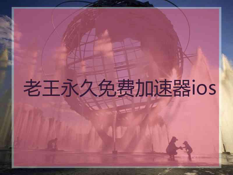 老王永久免费加速器ios