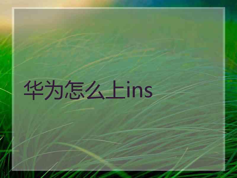 华为怎么上ins