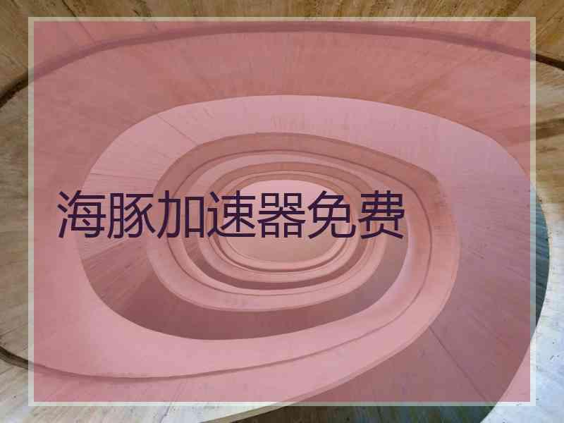 海豚加速器免费