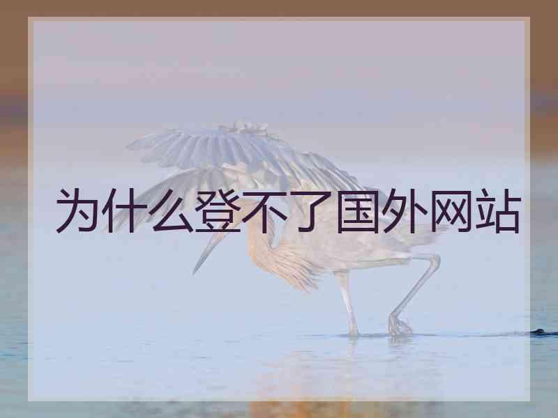 为什么登不了国外网站