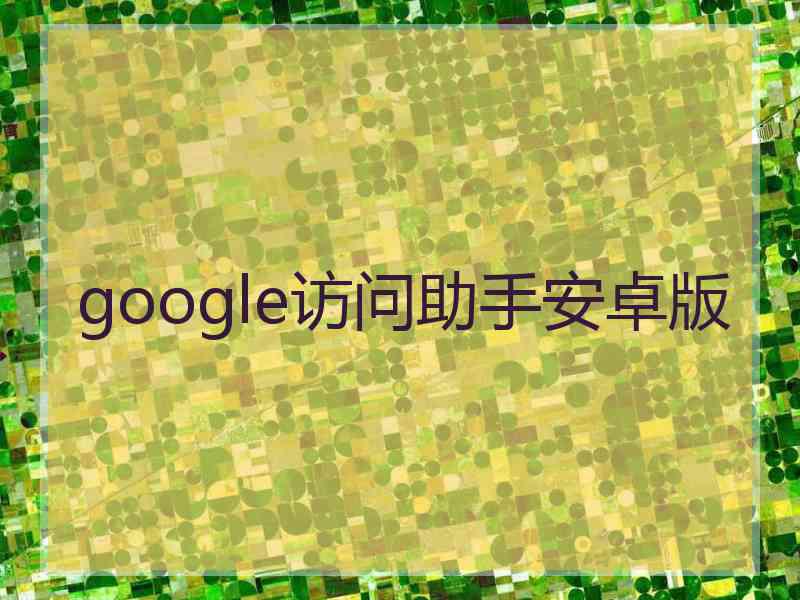 google访问助手安卓版
