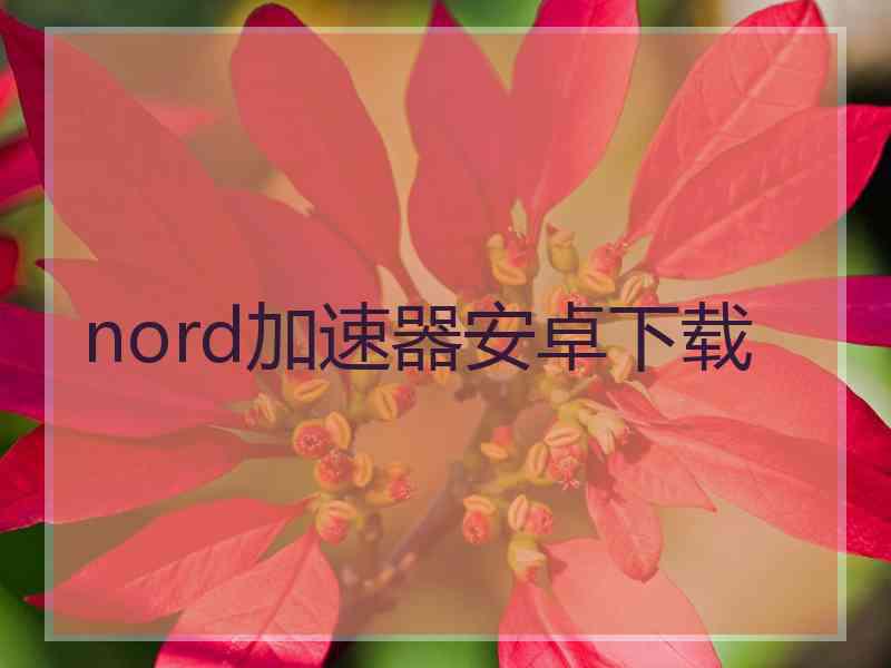nord加速器安卓下载