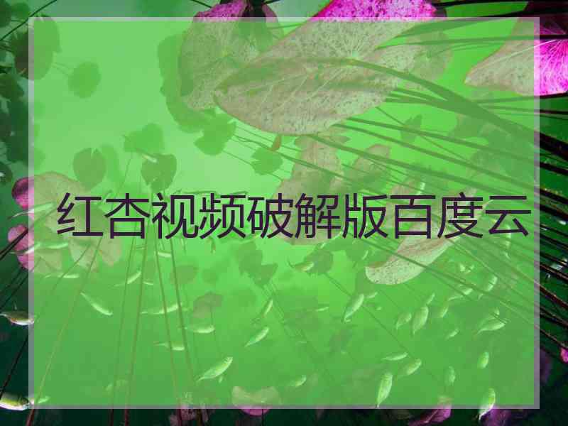 红杏视频破解版百度云