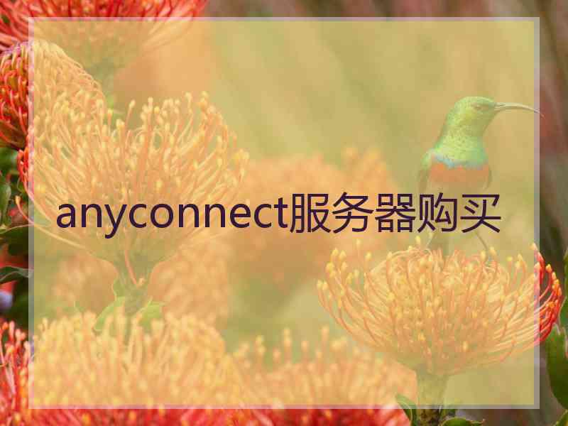 anyconnect服务器购买