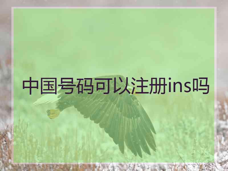 中国号码可以注册ins吗
