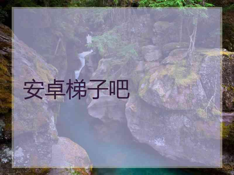 安卓梯子吧