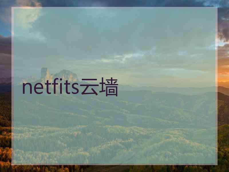 netfits云墙