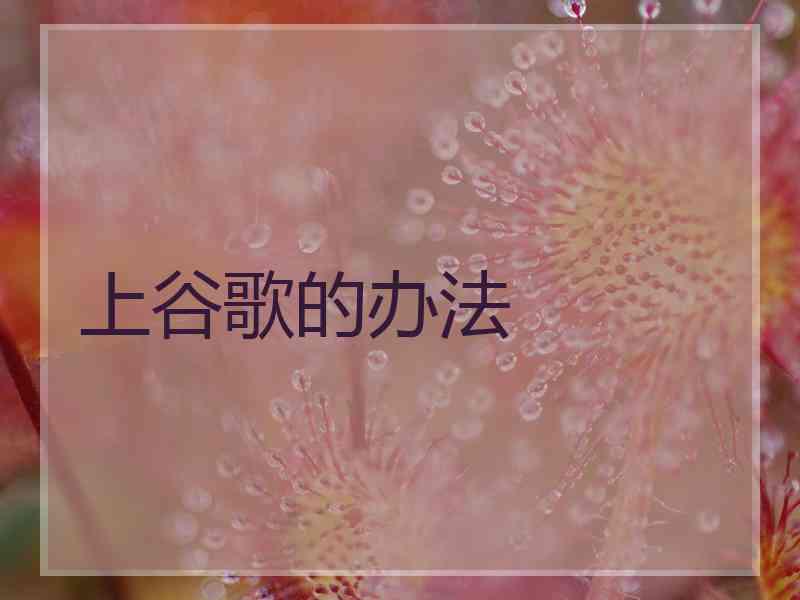 上谷歌的办法