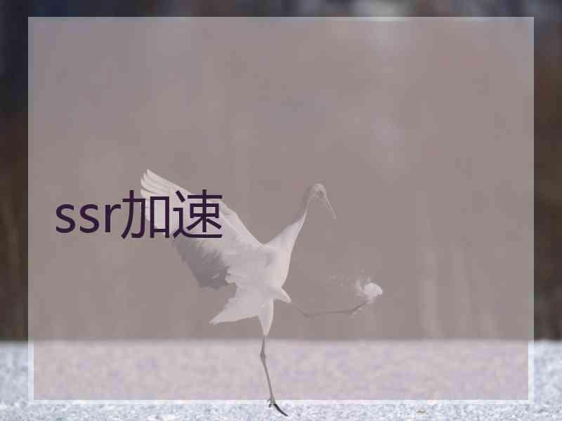 ssr加速
