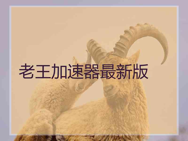 老王加速器最新版