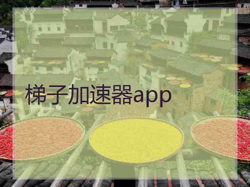 梯子加速器app