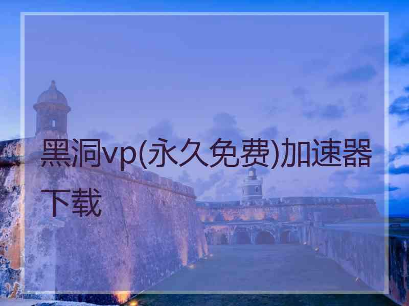黑洞vp(永久免费)加速器下载