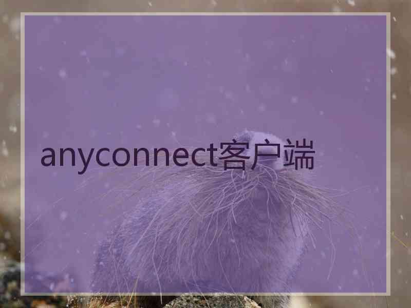 anyconnect客户端