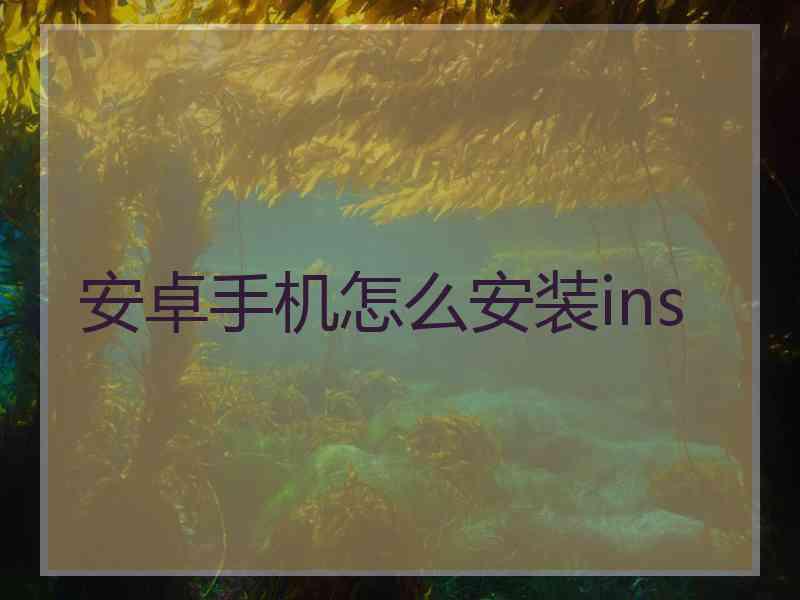 安卓手机怎么安装ins