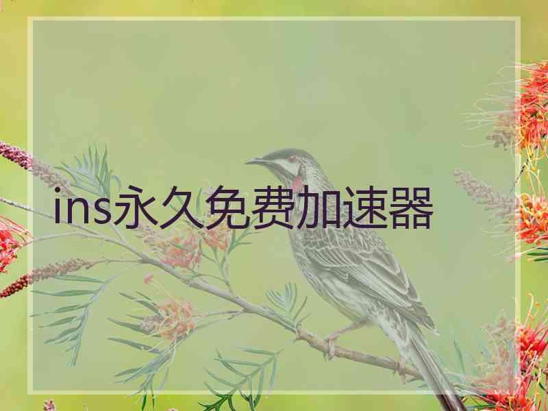 ins永久免费加速器