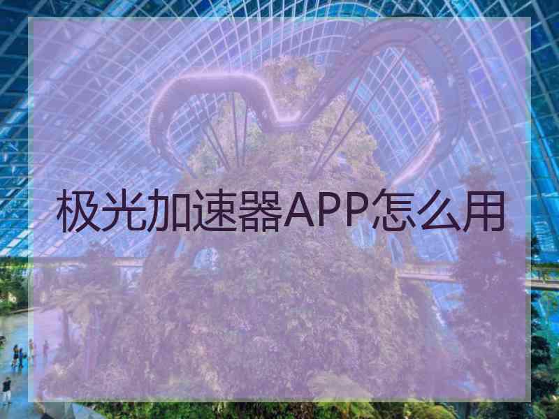 极光加速器APP怎么用