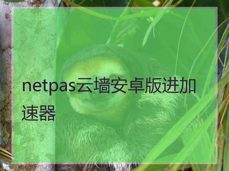 netpas云墙安卓版进加速器