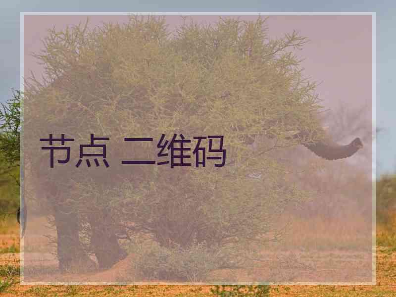 节点 二维码
