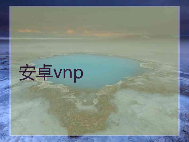 安卓vnp