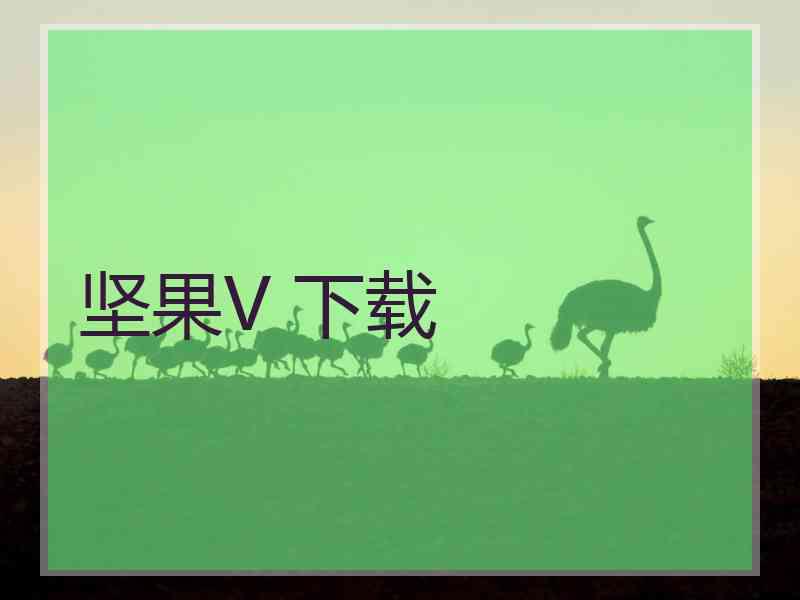 坚果V 下载