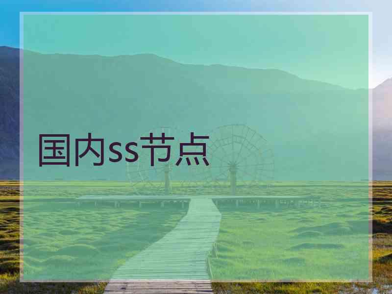 国内ss节点