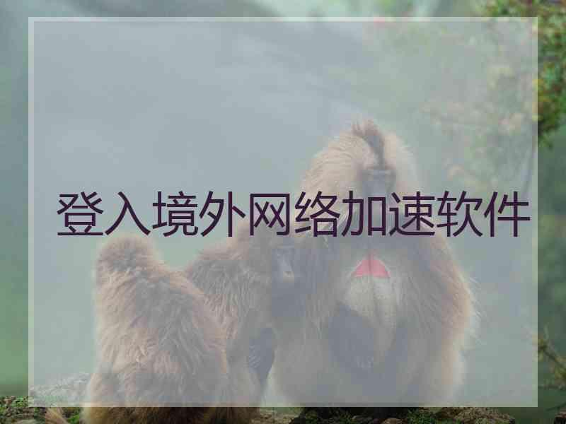 登入境外网络加速软件
