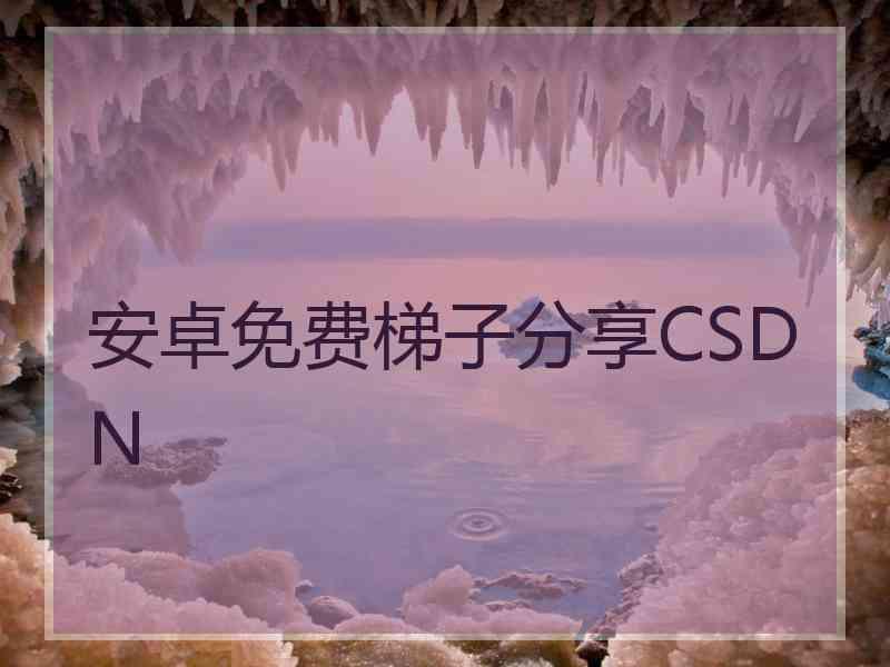 安卓免费梯子分享CSDN