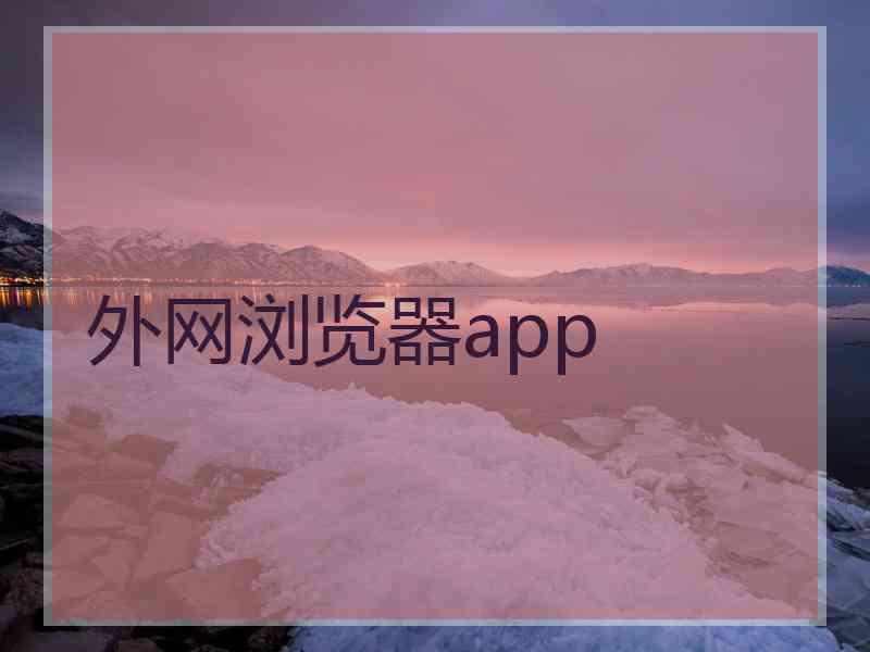 外网浏览器app