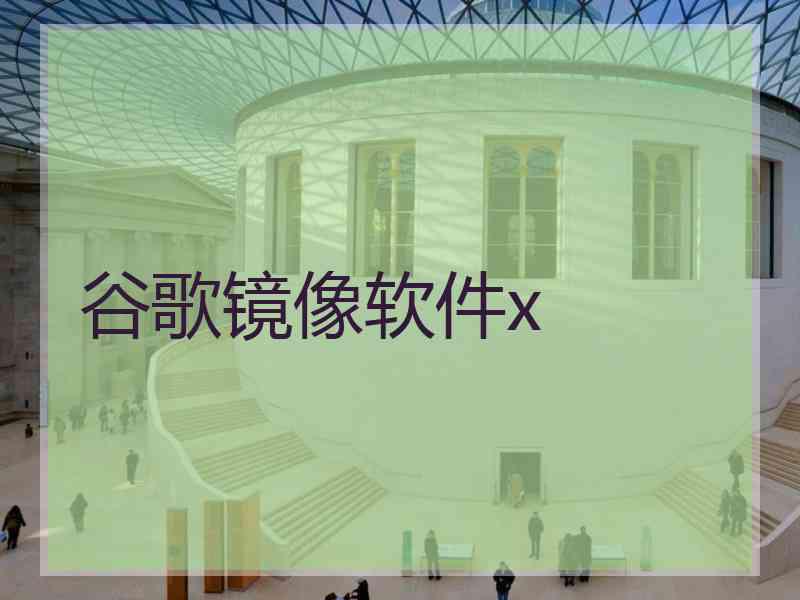 谷歌镜像软件x