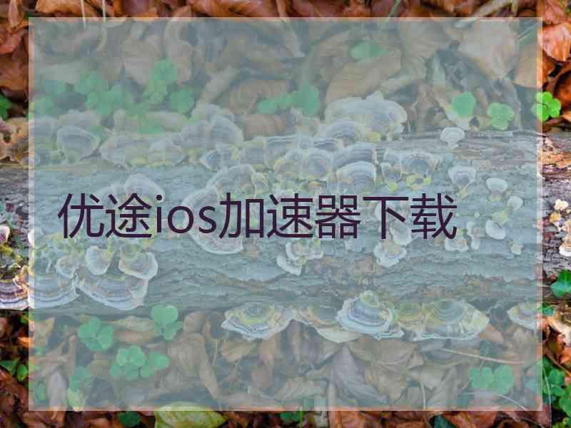 优途ios加速器下载