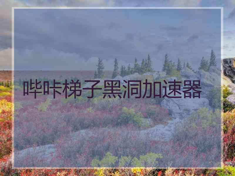 哔咔梯子黑洞加速器