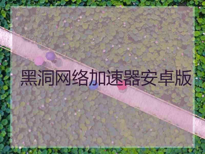 黑洞网络加速器安卓版