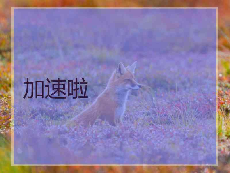 加速啦