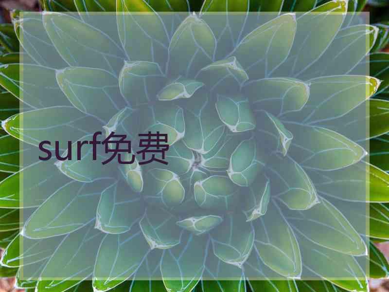 surf免费