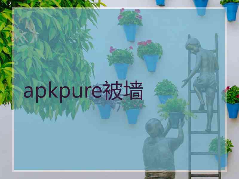 apkpure被墙