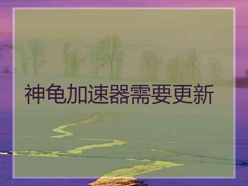 神龟加速器需要更新