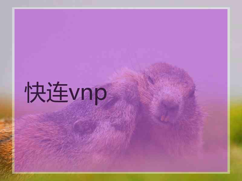 快连vnp