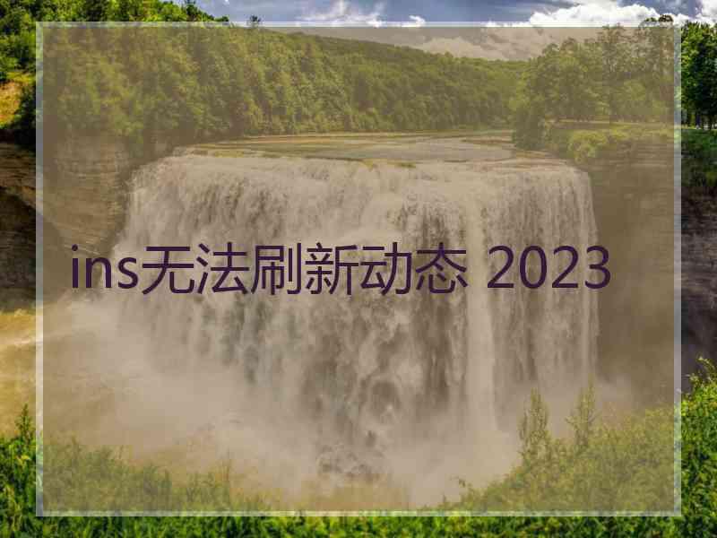 ins无法刷新动态 2023